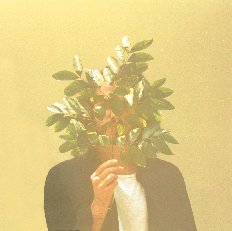 French Kiwi Juice – Miniwax