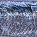 Mārara