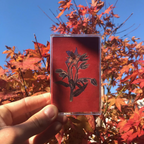 De La Friche