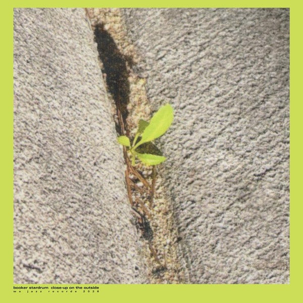 Close Up On The Outside