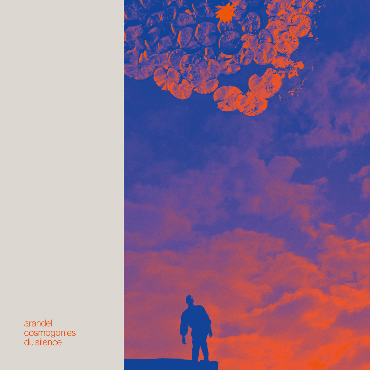 Cosmogonies du Silence