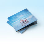 Listen to the whale - CD