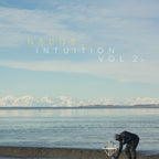 Intuition Vol. 2