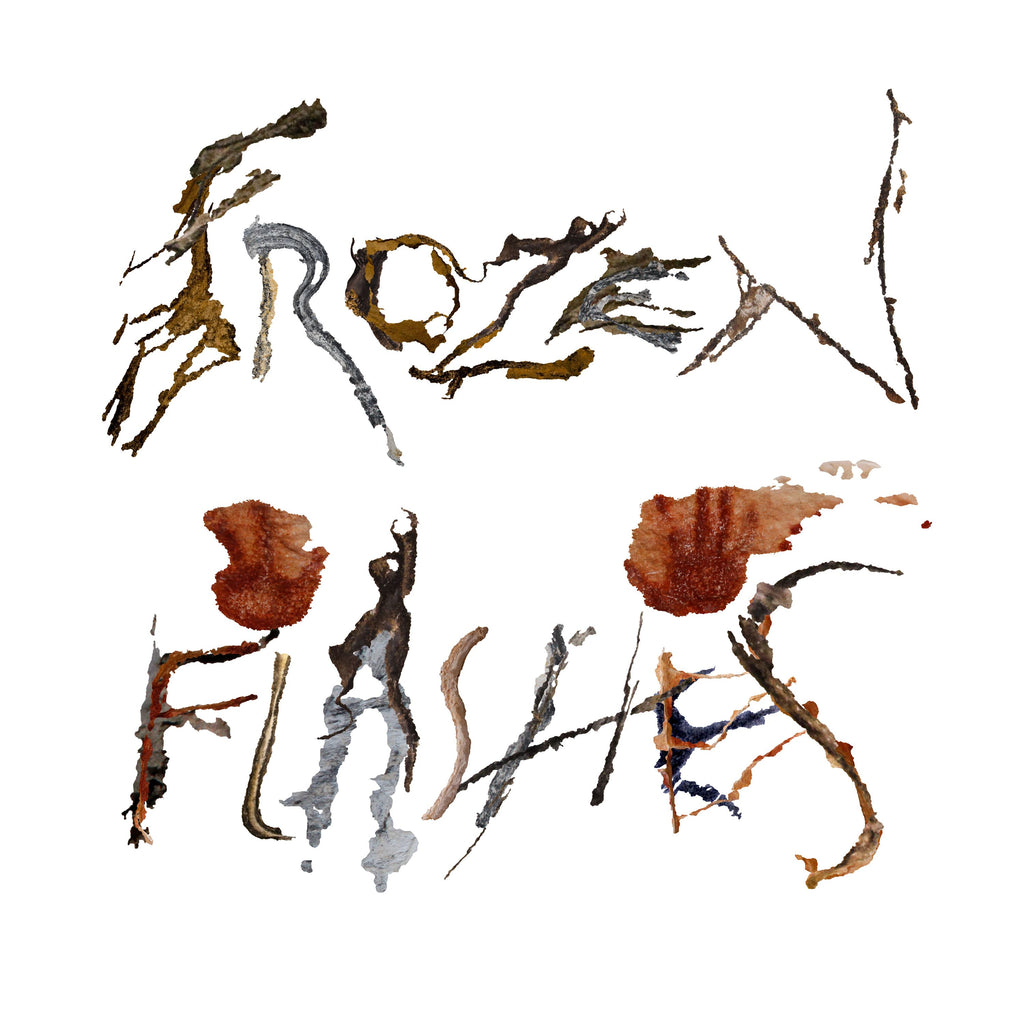 Frozen Flashes