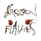 Frozen Flashes