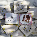 Among the Limestones/OST - CD