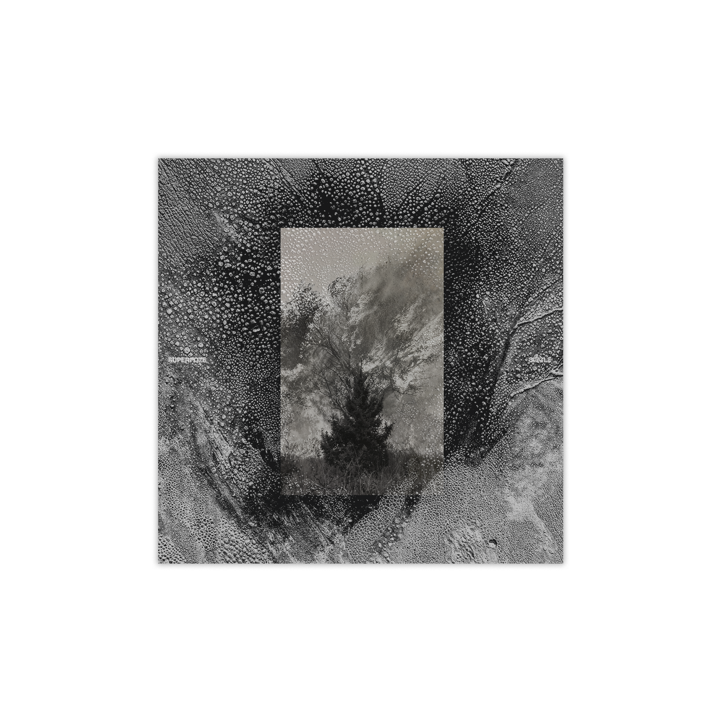 Siècle - CD