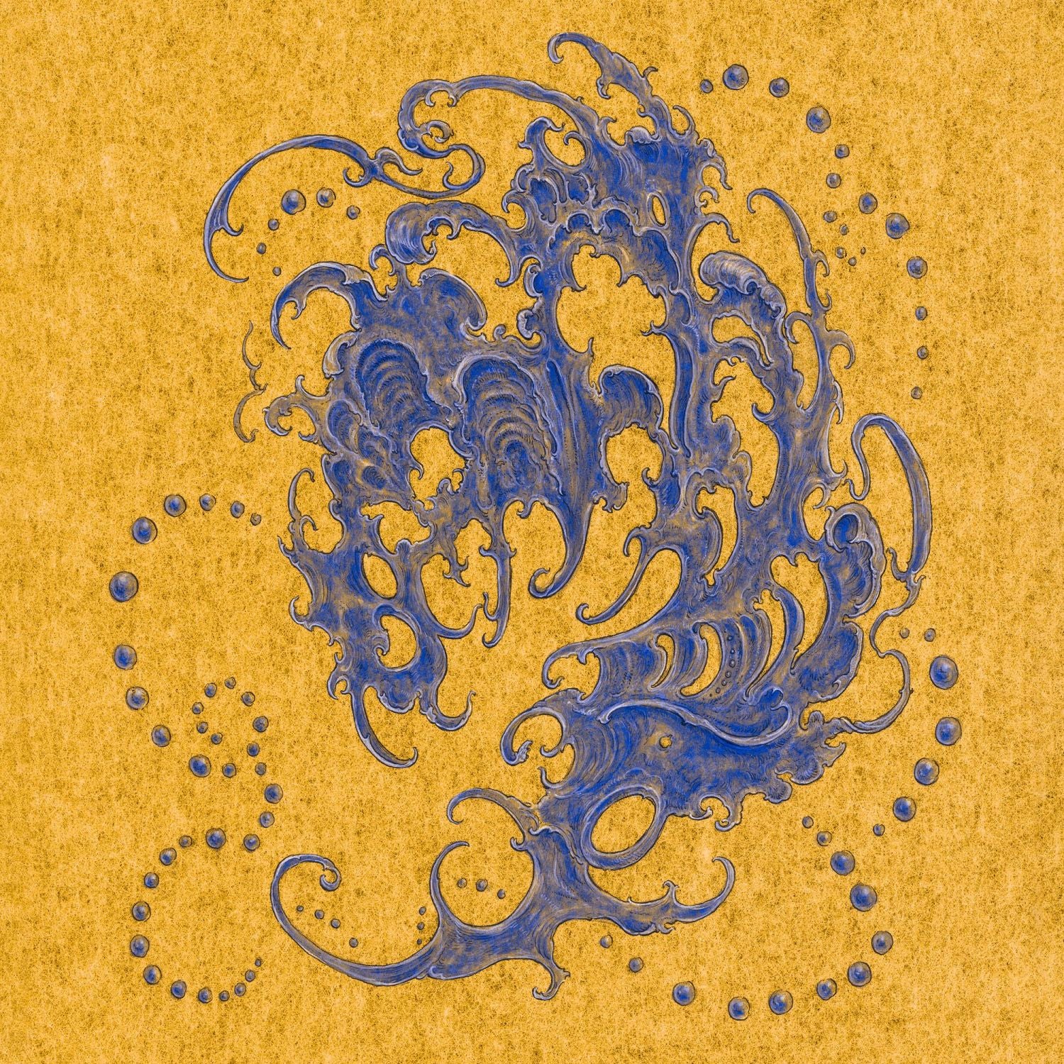 Shell Wave