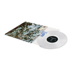 Feel Forever - Crystal Clear Vinyl