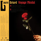 Voyage Mental