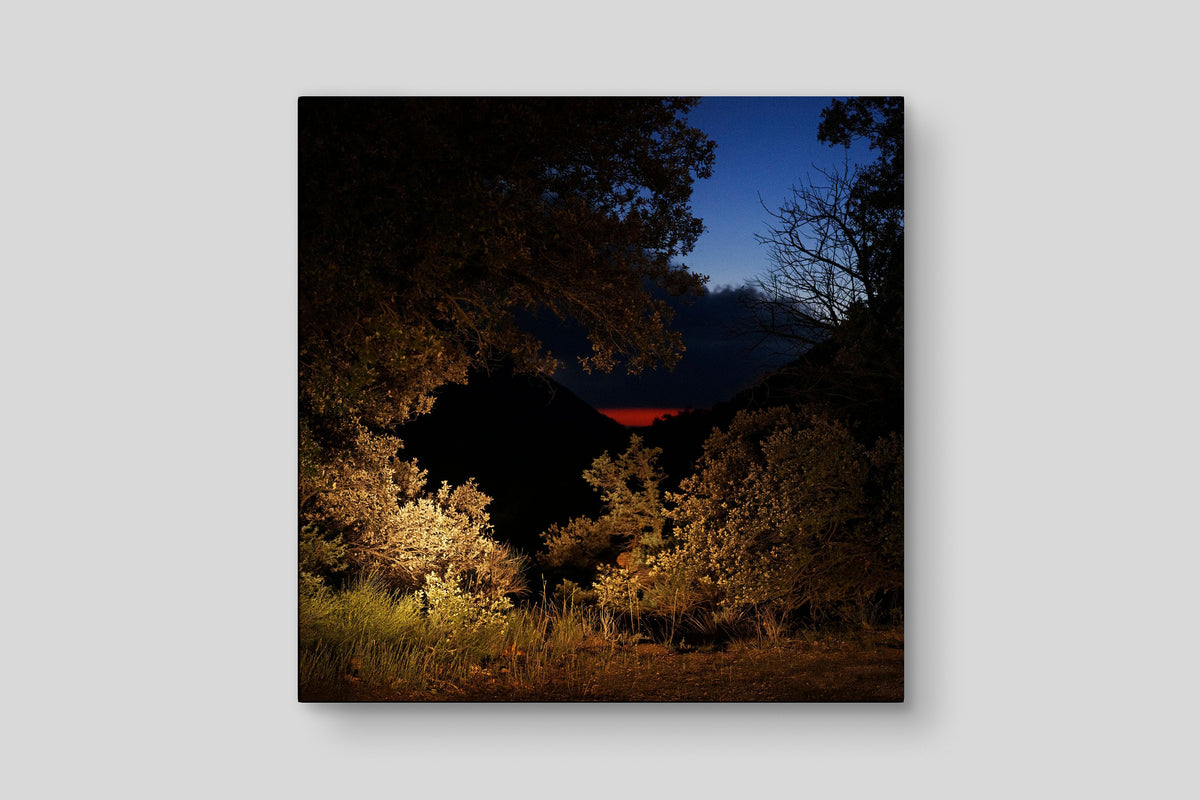 Shape of the Unknown
