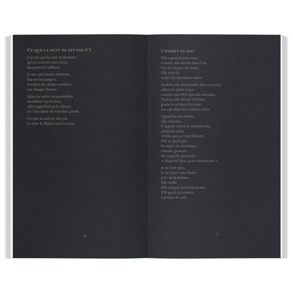 Recueil Ce que la nuit ne dit pas