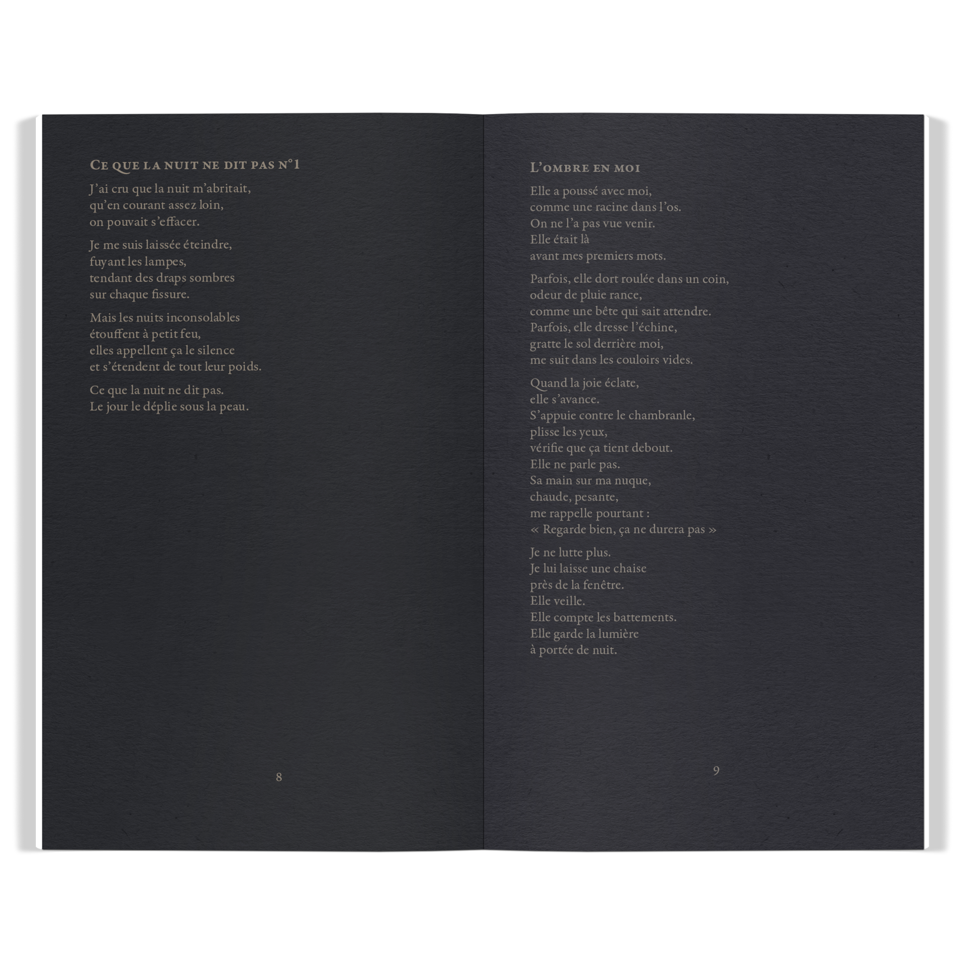 Recueil Ce que la nuit ne dit pas