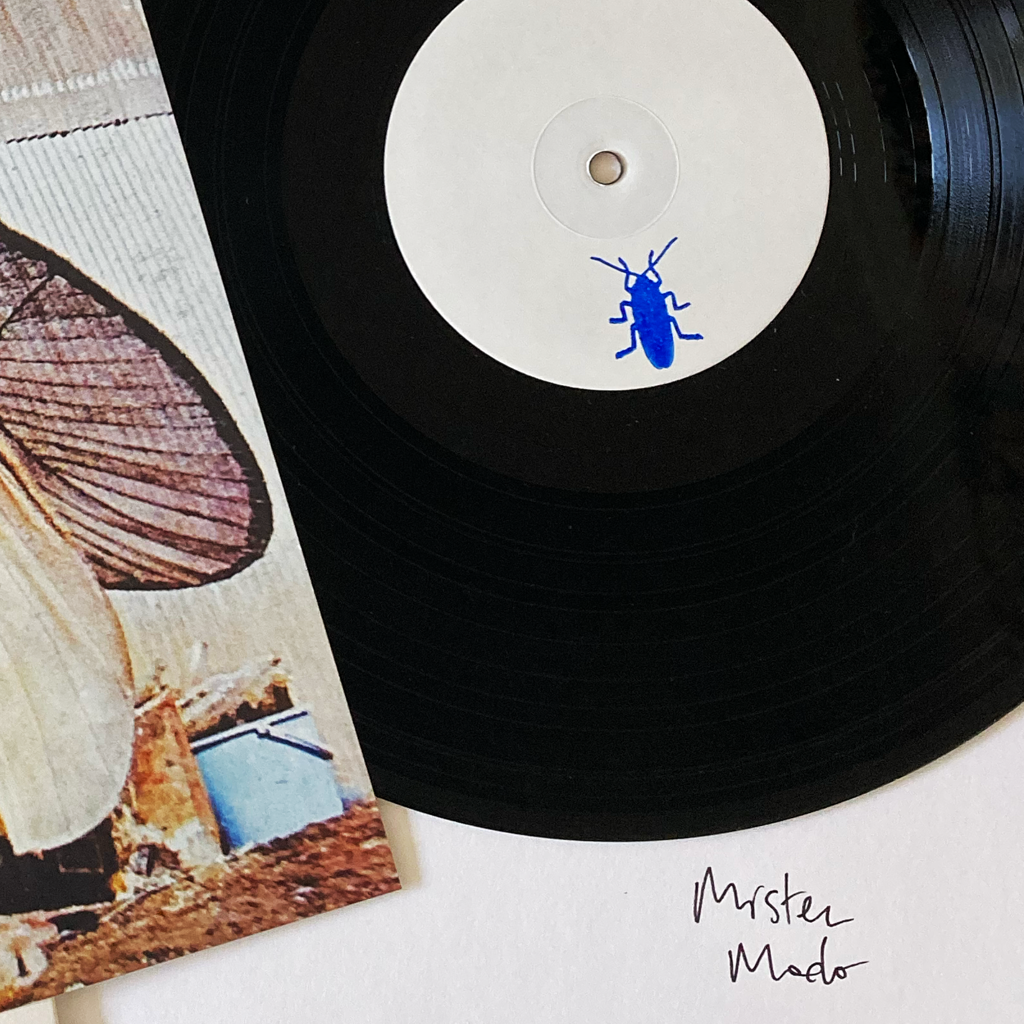MUSIC FOR BUGS
