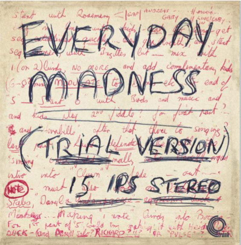 Everyday Madness