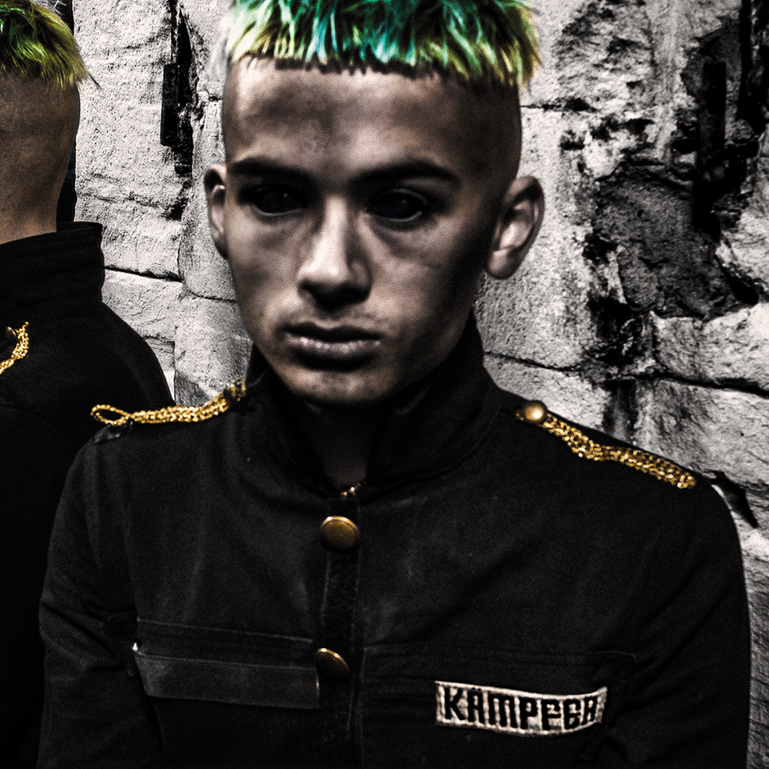 1652955104_Kampferartwork