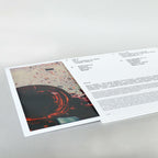 DOUBLE VINYL LP - LIVE IN PARIS