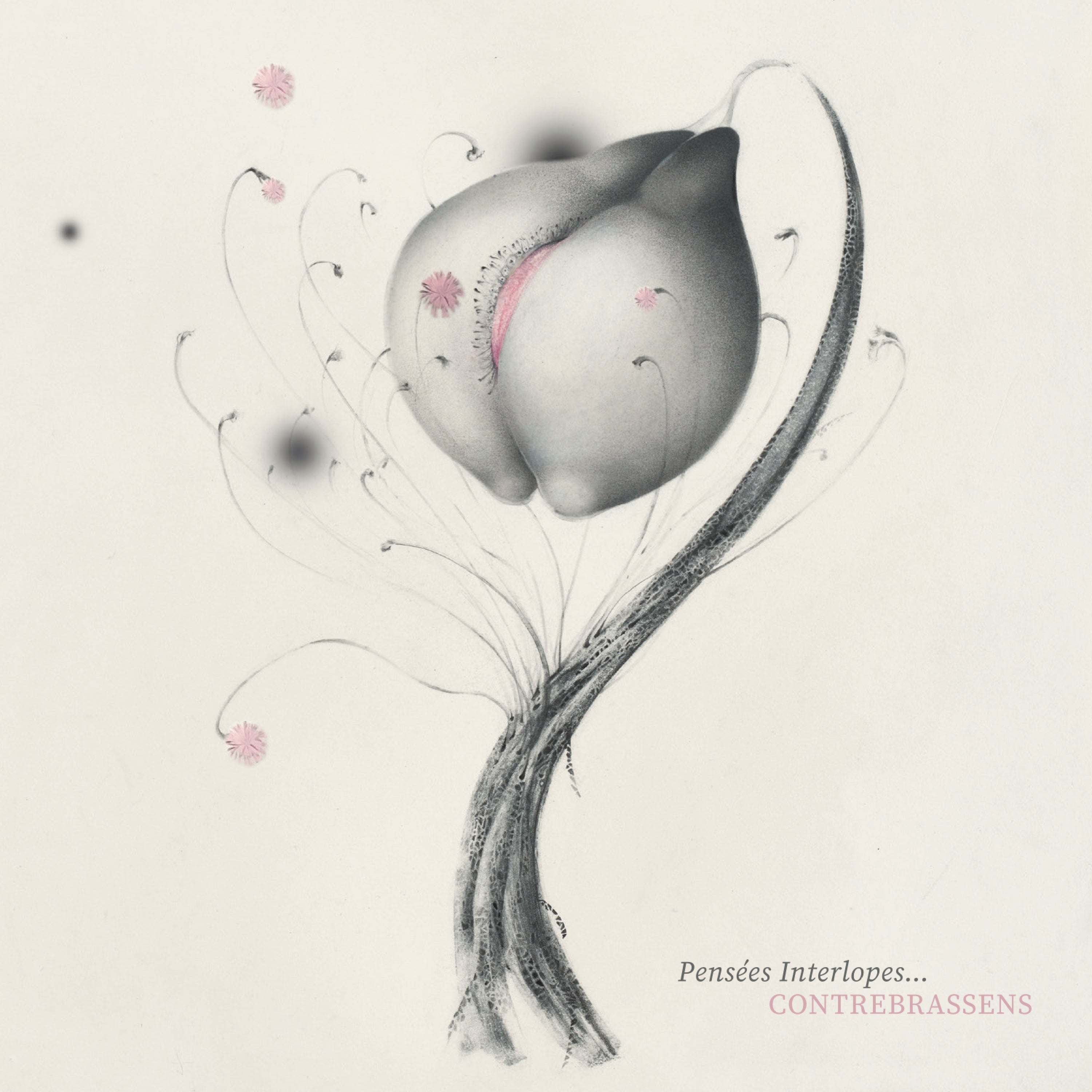 Pensées Interlopes... - CD