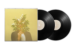 French Kiwi Juice