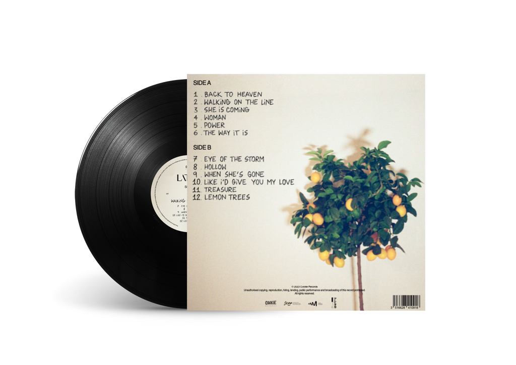 Walking on the Line - Limited
