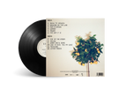 Walking on the Line - Limited