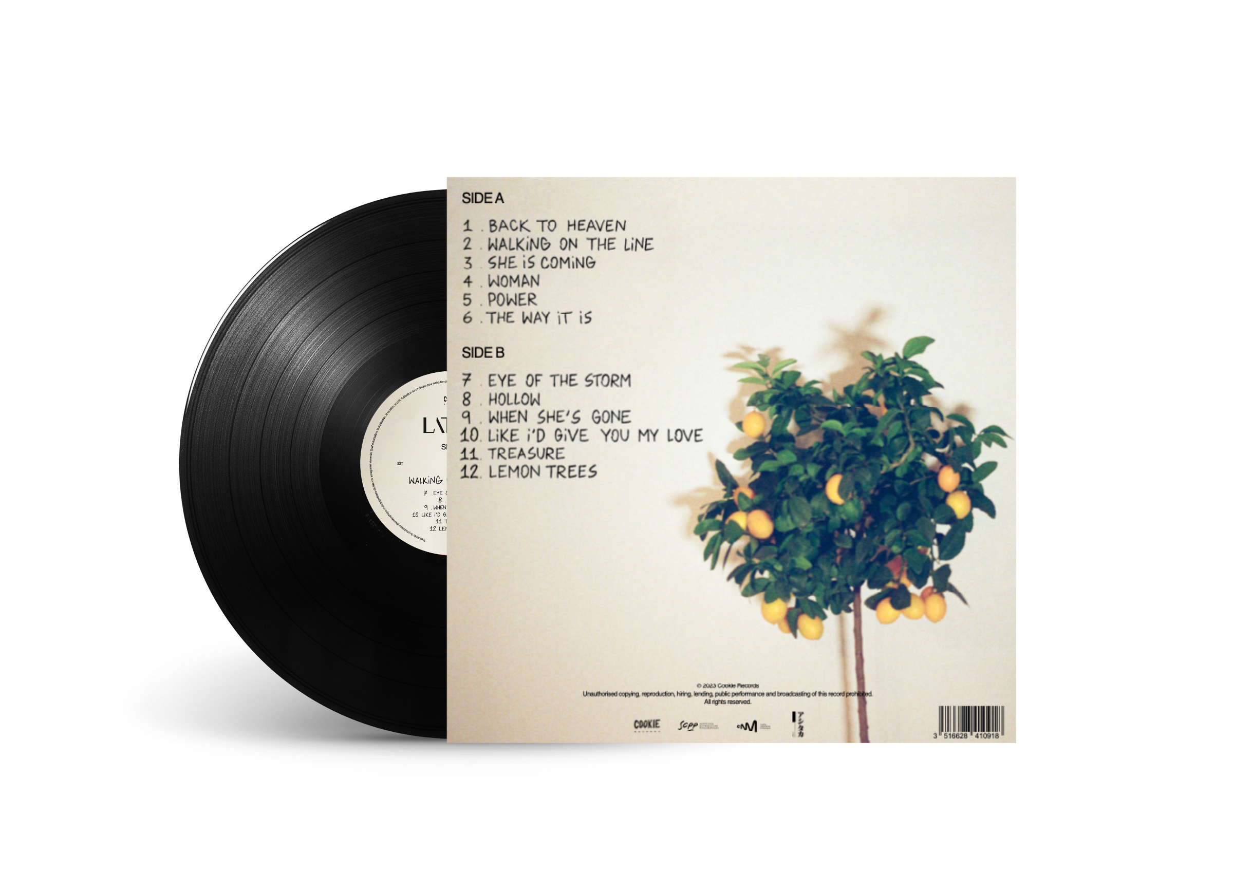 Walking on the Line - Limited