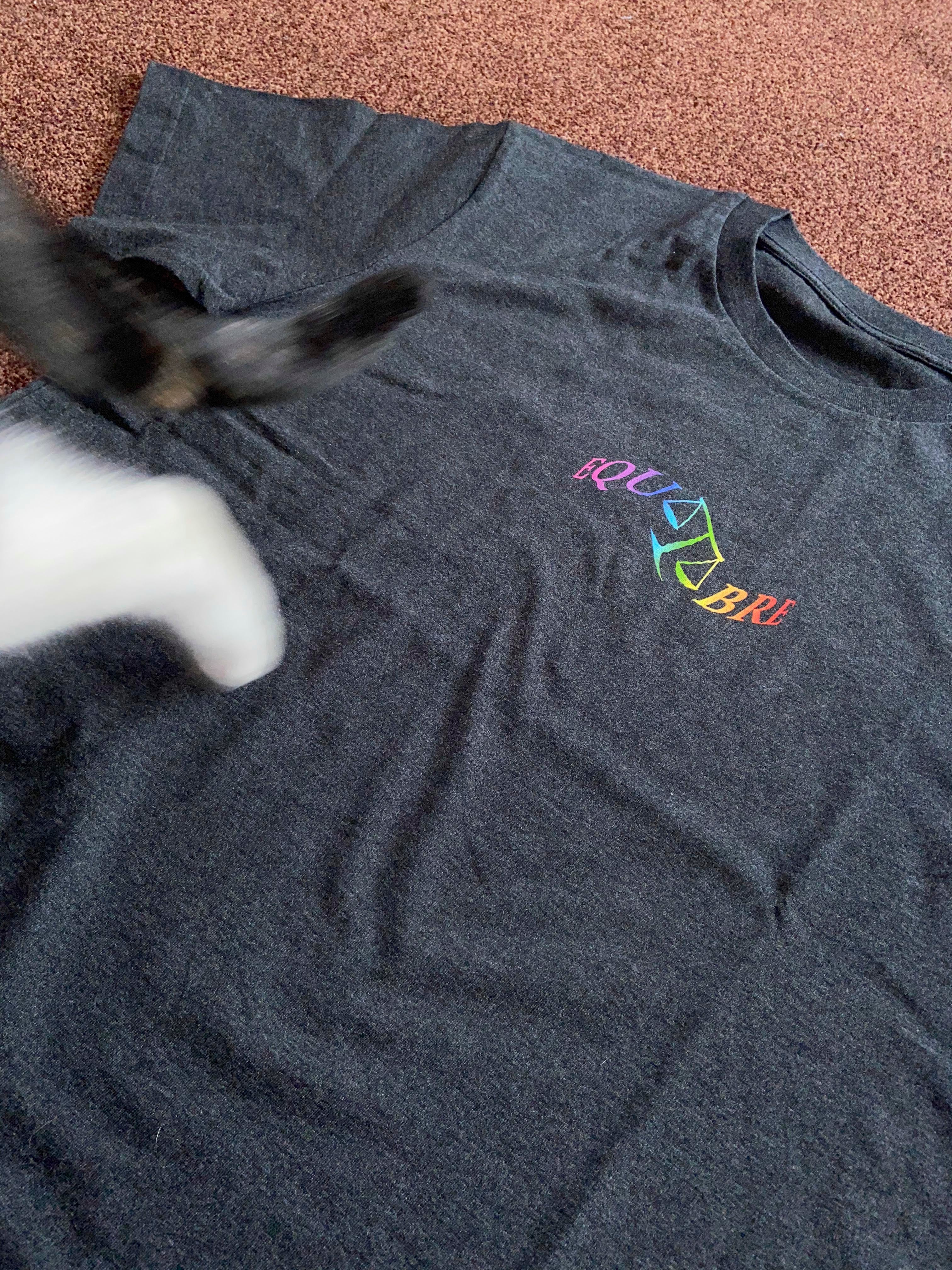 T-Shirt Manches Courtes Gris - Equilibre