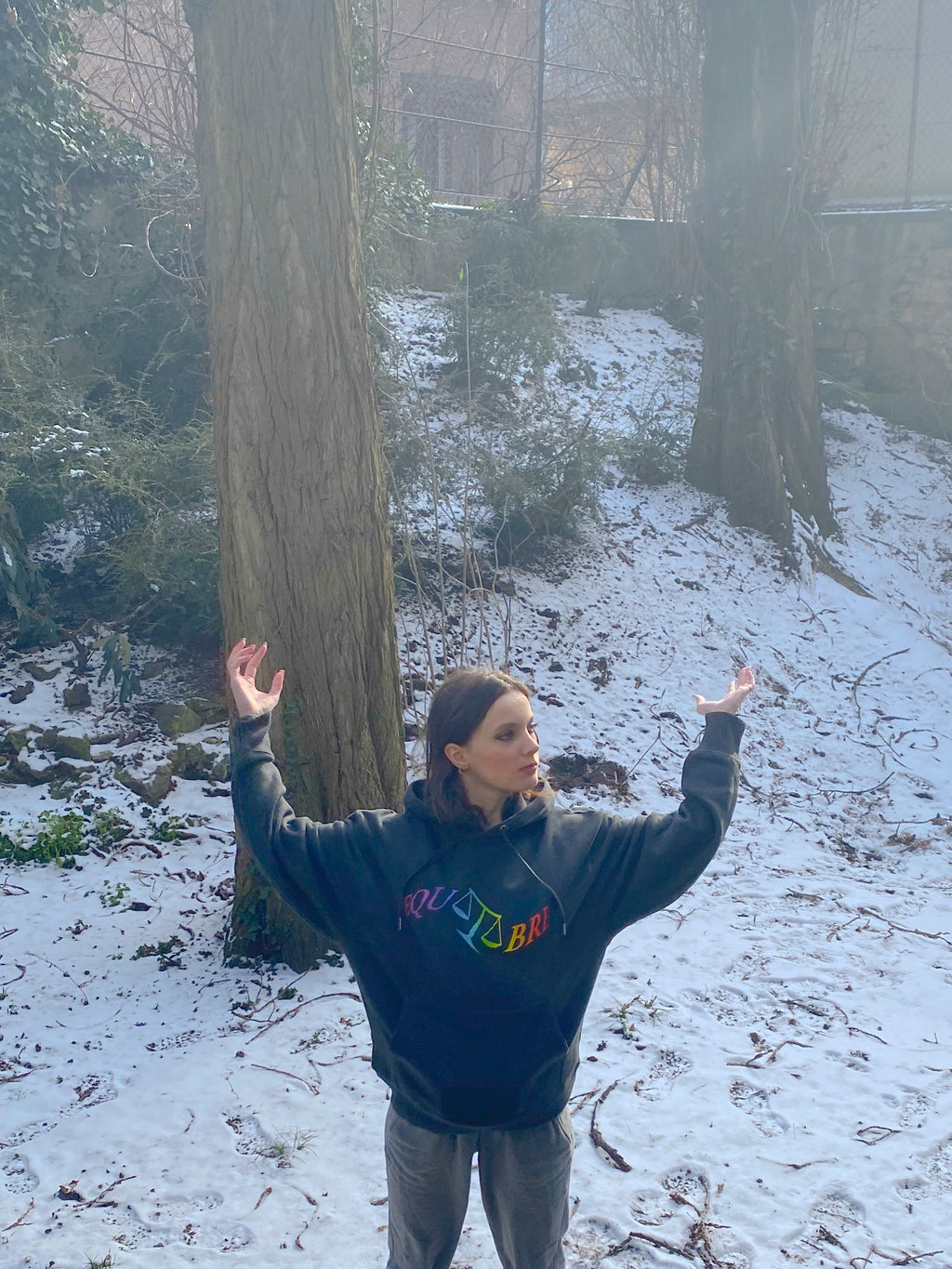 Hoodie - Equilibre