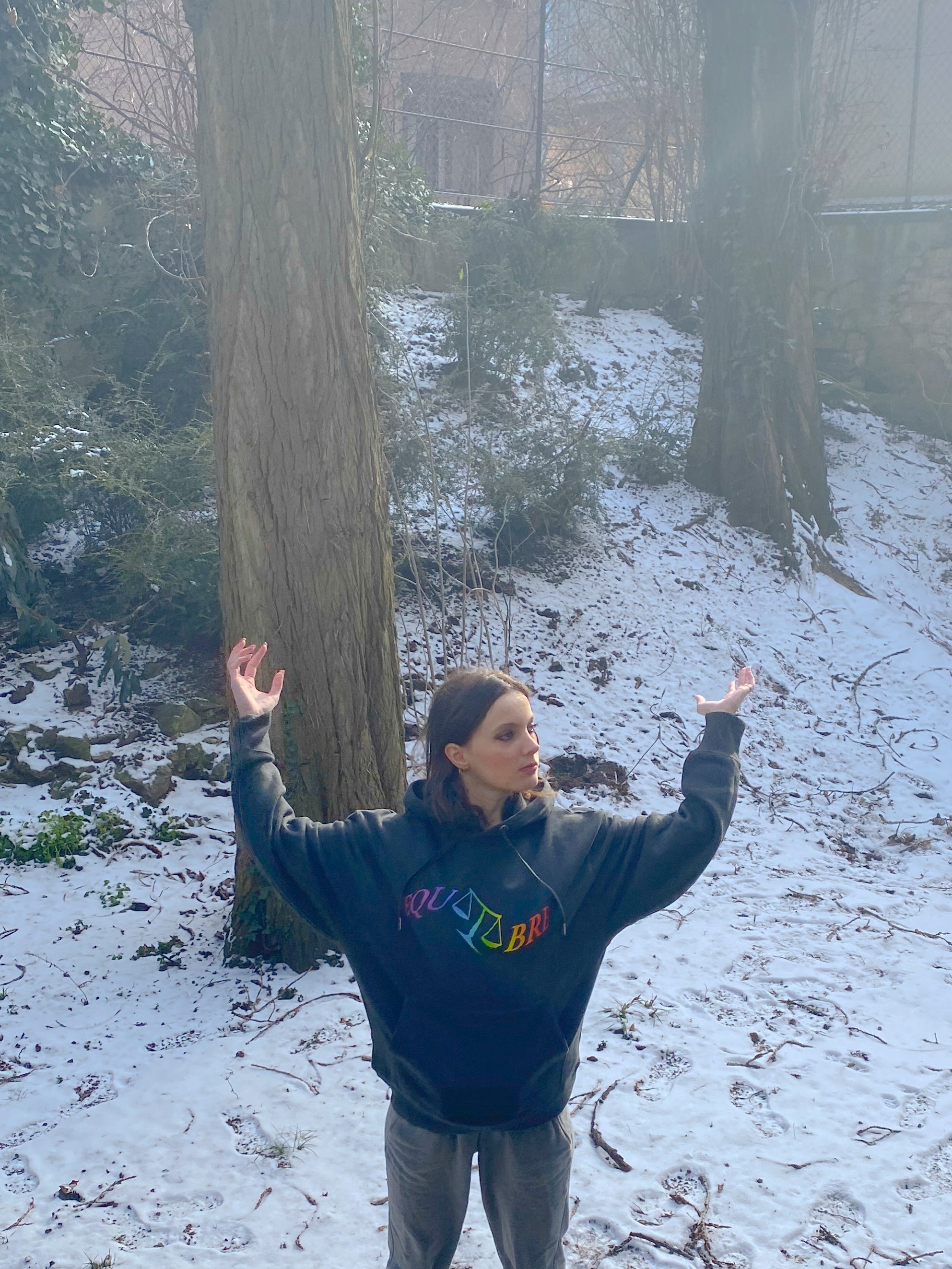 Hoodie - Equilibre