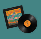 Cosmic Blunder - Vinyl