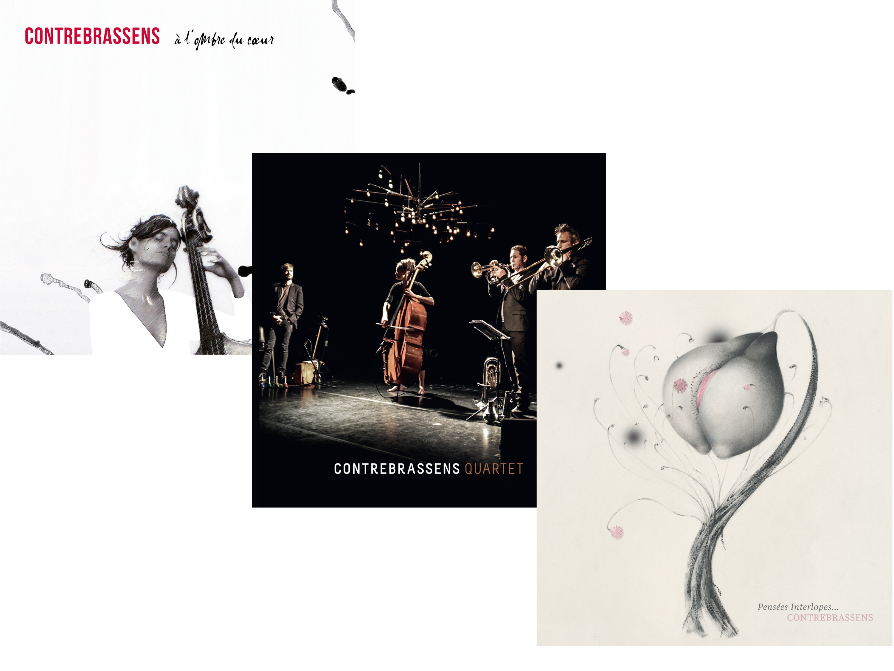 Pack Contrebrassens