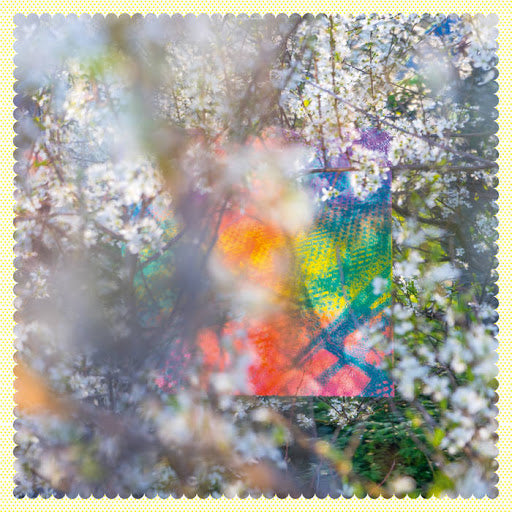 Four Tet - TEXT059 – Miniwax
