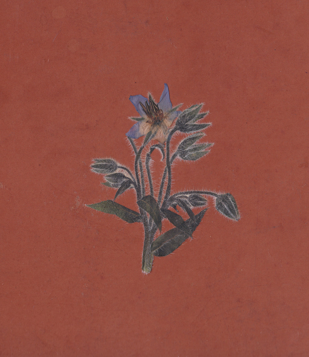 De La Friche