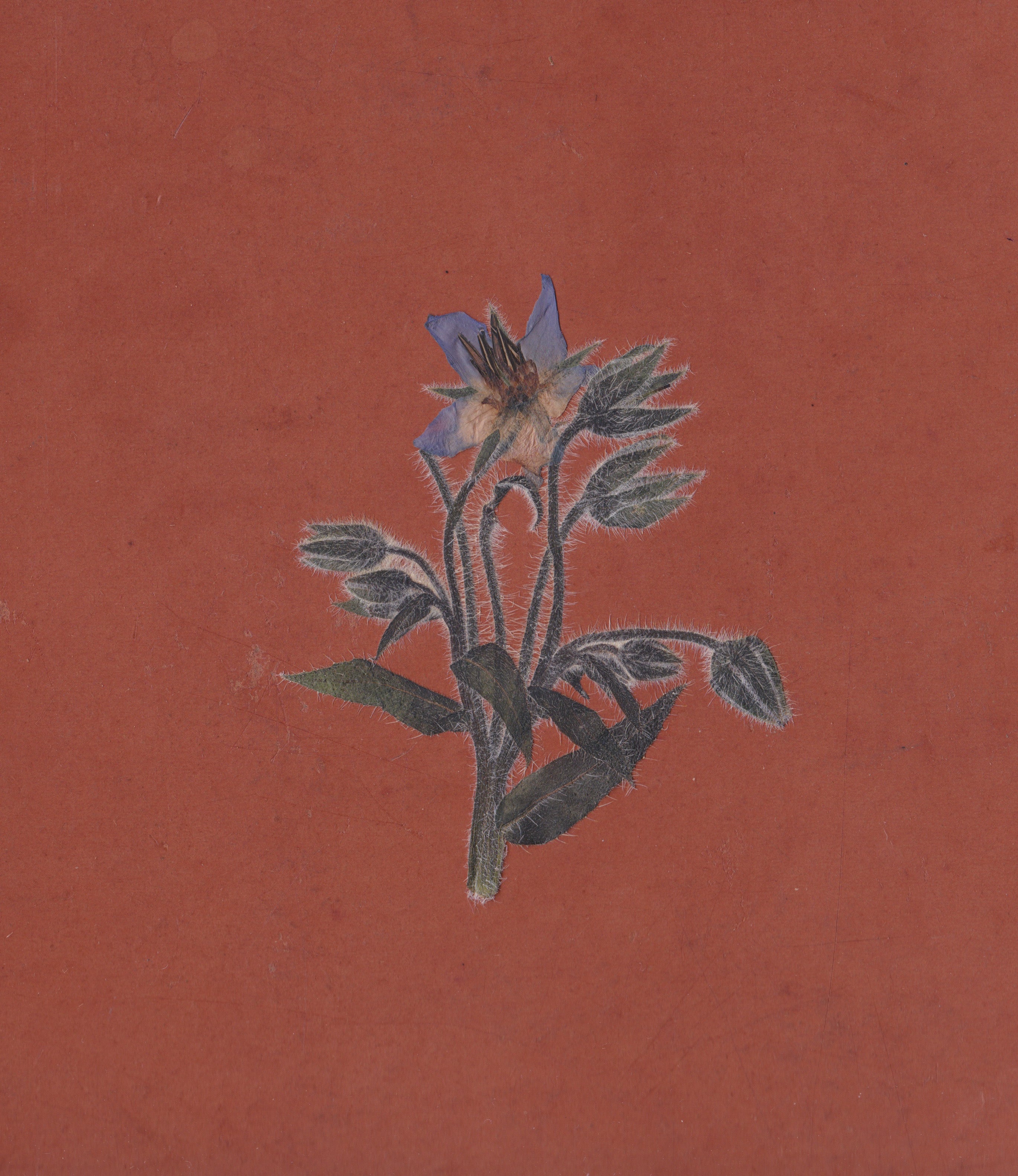 De La Friche