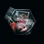 Ego Trip - CD