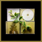 FKJ CD