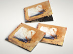 Rust & Gold - CD